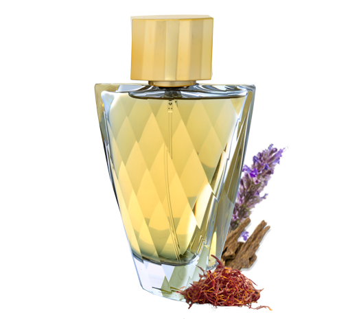 Fasety Eau De Parfum Spray 95ml (3.2 Oz)