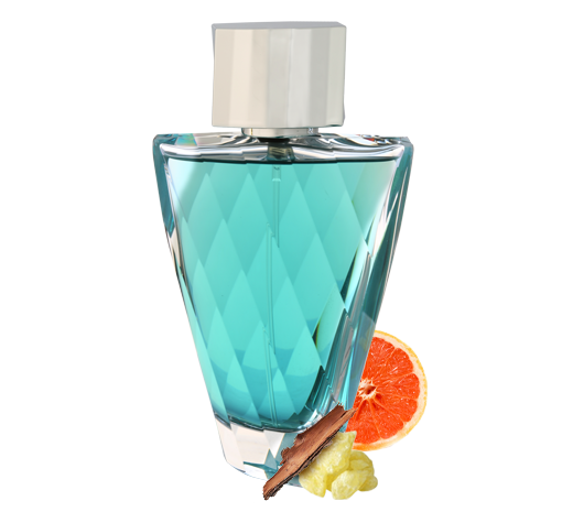 Fasety - HIM Eau De Parfum Spray 95ml (3.2 Oz)